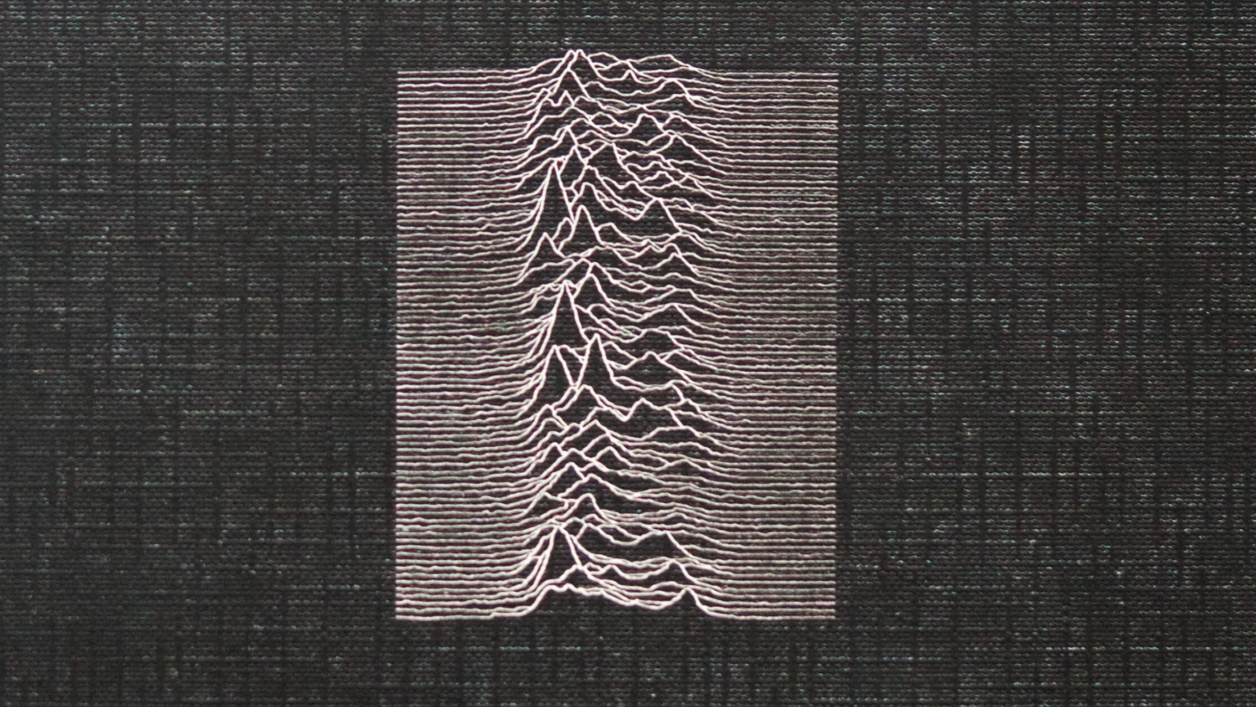 Collecting JOY DIVISION records – English version